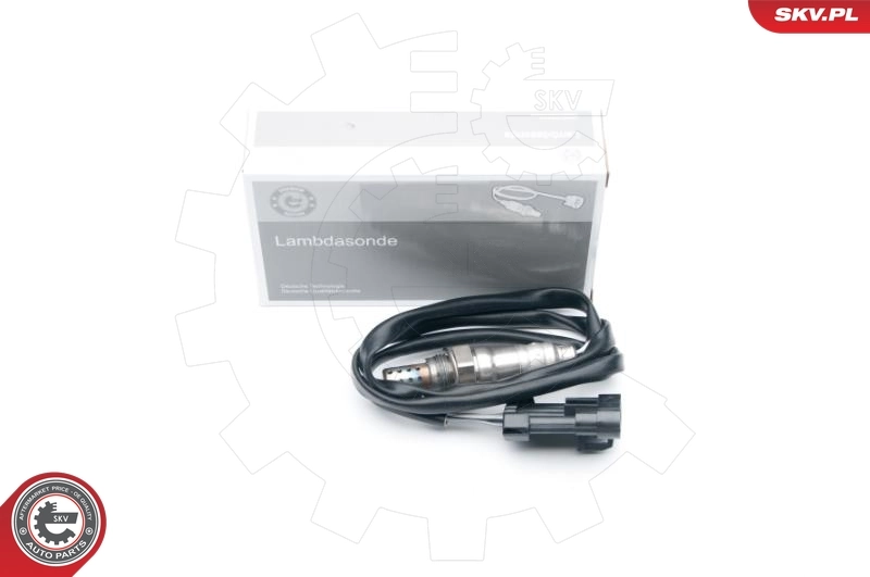 Oxygen Sensor